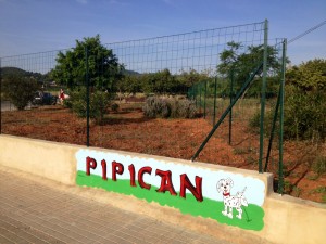 pipican3-2